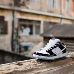 Nike SB Dunk Low Concord concord-nike-sb-dunk-low-1