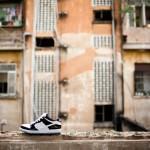 Nike SB Dunk Low Concord concord-nike-sb-dunk-low-2