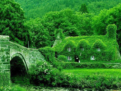 cottage nature verdoyant Llanwrst, Wales