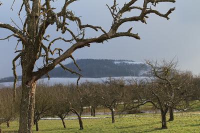 Bruley, sur la Côte