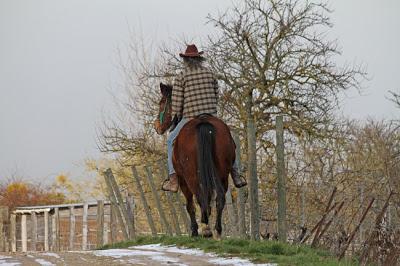 Bruley, sur la Côte