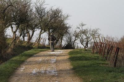 Bruley, sur la Côte