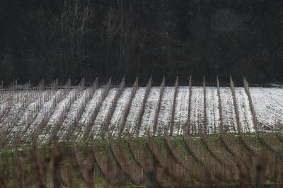 Bruley, sur la Côte