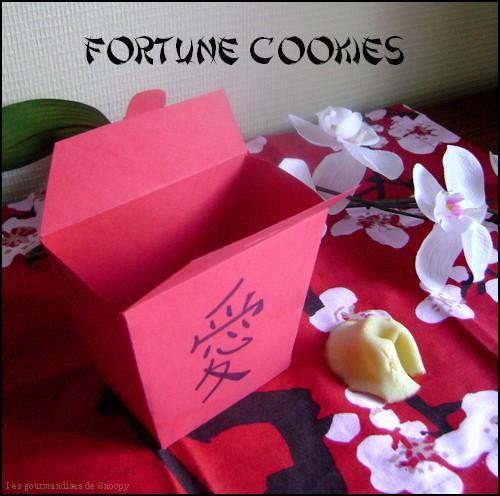 Fortune-cookies-.jpg