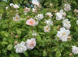 S'armer de courage et prendre la décision de retirer les ...