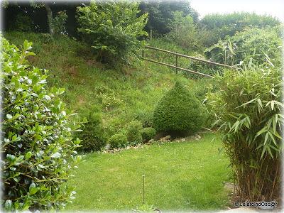 S'armer de courage et prendre la décision de retirer les ...