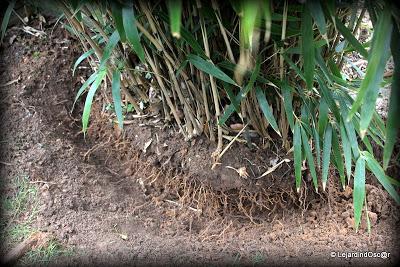 S'armer de courage et prendre la décision de retirer les ...