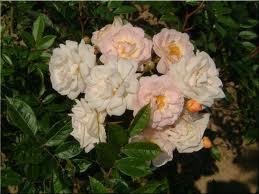 S'armer de courage et prendre la décision de retirer les ...