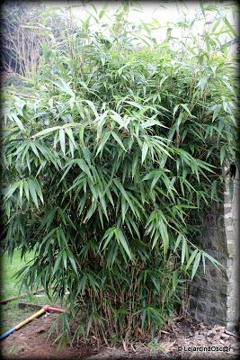 S'armer de courage et prendre la décision de retirer les ...