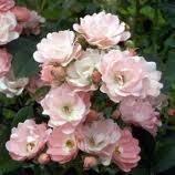 S'armer de courage et prendre la décision de retirer les ...