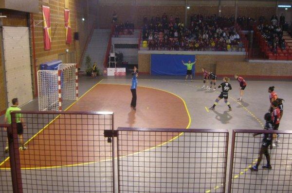 Handball féminin D2, LLMH contre Celles sur Belle : les photos du match