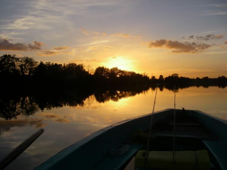 SAGE BASS II BY JACQUES BORDENAVE: part 2