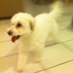 mes jolis souvenirs #11