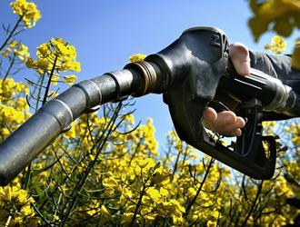 Les aides à la production des biocarburants