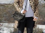 rayure léopard