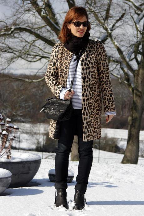 La rayure et le léopard