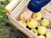 Clément Michèle entre pommiers séance photos mère-enfant mise scène, campagne parisienne (78)