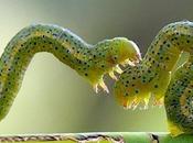 Parfois lundi cloche...au niveau l'inspiration!