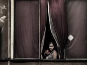 Julio Bittencourt, fenêtres Paulo