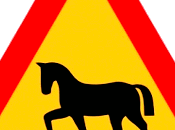 tout dans assiettes.