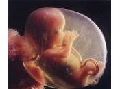 A-t-on véritablement pris mesure l’IVG sans prendre considération stérilité croissante chez humains...