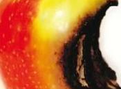 Exchange gâche fête