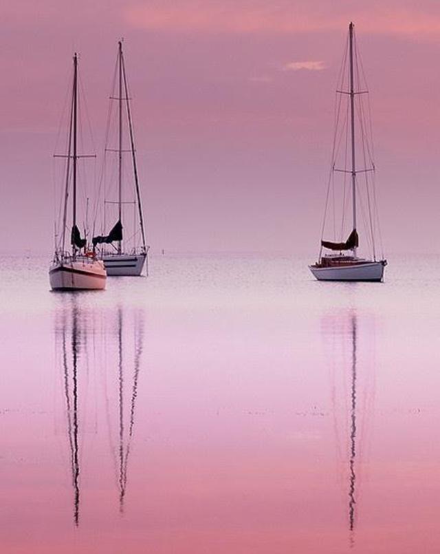 socialonline:

Sailboats in morning sunrise (via flipboard)
