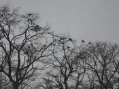 Loire, caves greniers...