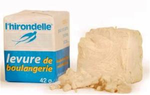levure-pain-hirondelle
