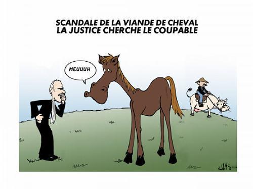 scandale findus viande cheval