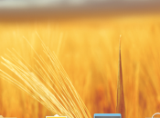 Blade disponible France