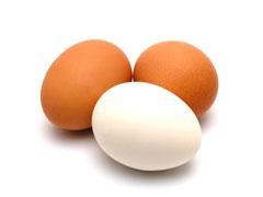 oeufs,alimentation,protéines,sélénium,vitamines,poulet,santé