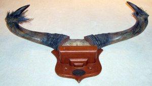 Le Massacre (Hureau) Kouprey