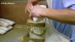 Lorraine Féline s'expose à l'Onde (78)