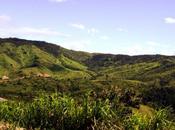 contrat pour Alstom Renova Energia Brésil