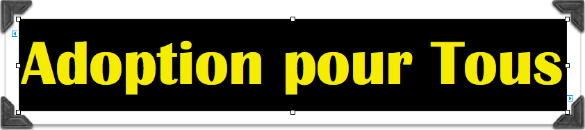 Adoption pour Tous