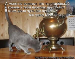 dlyakota.ru_kotiotkotomatrici_1326873416541