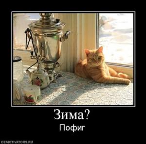 Topic des chats - Page 13 Chat-samovars-L-iWTHQF