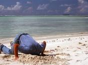 Transient WordPress comment utiliser