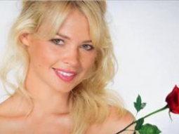 NT1, Le Bachelor : Le gendre idéal ?