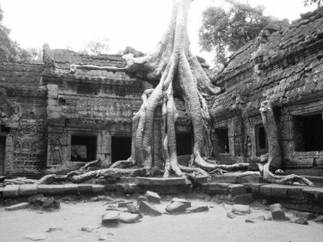 Ta Phrom - Cambodge