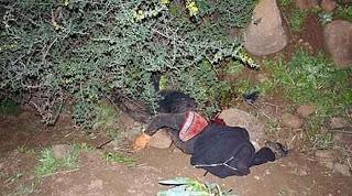 Il a violé sa soeur, l’a mise enceinte, puis l’a tuée pour « laver » l’honneur familial