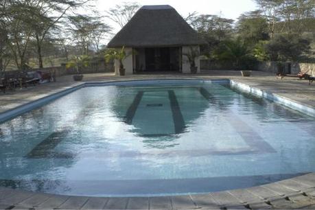 Dormir au plus près des hyppos