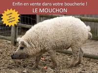 9 x 2 tweets chouchou (de la semaine 07-2013)