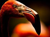 Découvrez travail photographe Michael Patrick O’Leary