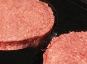 SÉCURITÉ ALIMENTAIRE: carcasses cheval positives phénylbutazone (Food Standard Agency)