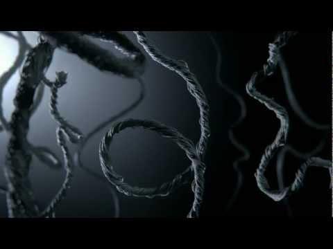 Image de prévisualisation YouTube