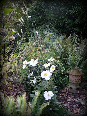 Octobre au jardin...