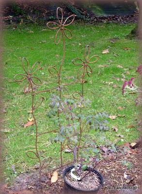 Octobre au jardin...