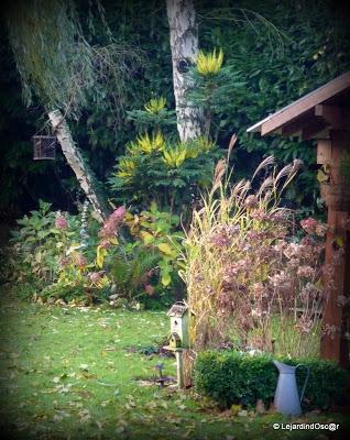 Octobre au jardin...